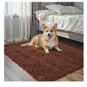 Small Rugs for Bedroom 2x3, Soft Area Rug for Living Room Dorm, Non Slip Shag Rugs for Girls Boys Bedroom, Soft Kids Carpet, Modern Home Decor Aesthetic(Coffee, 2 x 3