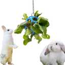 Rabbit Treat Ball Bunny Enrichment Toys with Stainless Steel Hanger Set, Veggie Feeding Rabbit Ball Toy for Bunny Squirrel Hedgehog Tortoise Guinea Pig Rabbits, Pets Treat Balls Accessories (Blue)