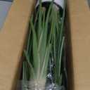 Artificial Bird of Paradise - Fake Plants Indoor Faux Tropical Palm Potted Dypsis Lutescens for Home Office Decor Housewarming (4FT-2Packs)