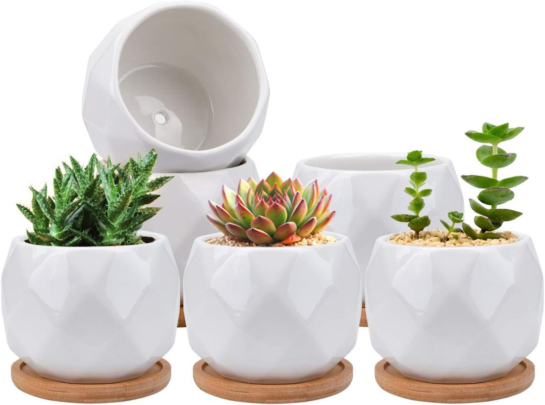 Remerry 24 Pcs Succulent Pots 2.5 Inch Ceramic Small Mini Pots DIY Figurines Paint Easter Gifts Kit Unpainted Ceramic Bisque with Drainage Hole Ready to Paint for Classroom(Matte Style)