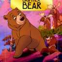 Book Brother Bear, Hardcover
