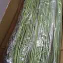 Jexine 4 Pieces 4 ft Tall Artificial Grass Plant Potted Artificial Greenery Floor Plants Fake Pampas Grass Tall in Pot for Housewarming Gift House Garden Bathroom Lobby Indoor Outdoor (Spring)