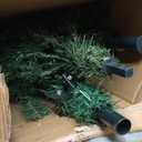 6ft Artificial Christmas Tree Premium Pine Xmas Tree with 1000 Branch Tip, 1 Minute Christmas Tree Unlit Realistic Holiday Party Decor for Home Office, Foldable Stand, Easy Assembly