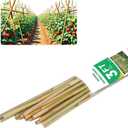3ft Natural Bamboo Plant Stakes for Tomatoes, Beans, Flowers, Potted, Climbing Plants 25pcs