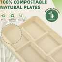 WELLIFE 100% Compostable 5 Compartment Paper Plates, 100 Pack Disposable School Lunch Trays Divided Plates for Adult Youth, 12.5 * 8.6 inch Heavy Duty Eco-Friendly Bagasse Plate for Buffet and Party