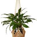 Shappy 1 Pack Jute Crochet Long Plant Hanger for 3 Inch to 12 Inch Pots, Macrame Plant Holder Rope with S Shaped Hooks for Halloween Home Decor (Brown)