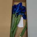 Royal Blue Iris Artificial Flowers 6 PCS Real Touch Flowers 18.9 in Long Stems Artificial Iris for Wedding Bridal Home Kitchen Party Decoration(Royal Blue)