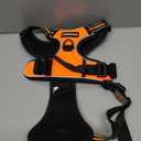 rabbitgoo Dog Harness No Pull with 2 Leash Clips, Adjustable Soft Padded, Reflective Oxford No Choke Pet Vest with Easy Control Handle for Large Dogs, Orange, Large