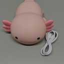 Axolotl Night Light for Kids, Cute Axolotl lamp Gifts Rechargeable light Table Lamp Bedside Lamp, LED Animal Silicone Nursery Night Lamp Cute Room Decor Night Light for Kids Girls Boys