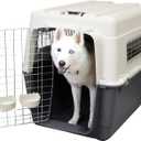 SportPet Airline Compliant XX-LARGE 39" Travel Dog Kennel-Durable Plastic Airline Pet Carrier w/ Removable Wheels & Food Bowls, Collapsible Indoor/Outdoor Dog Kennel, Dogs up to 36"L & 27"H-Cream/Gray