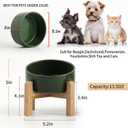 Petygooing Raised/Elevated 15Slanted Ceramic Dog Bowl for Small Breeds,Tilted Anti Slip Pet Feeding Bowl,Food Water Dish with Stand for Cats and Small Dogs Puppy 13.5 OZ (5.1In / 1.7 Cups)Rust Green