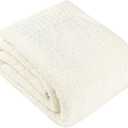 PAVILIA Super Soft Throw Blanket for Couch, Fluffy Cozy Lightweight Cream Blanket, Large Fuzzy Warm Knit Blanket for Bed Sofa, Beige, 60x80