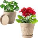Melphoe Plant Pots Indoor with Drainage & Saucer, 2 Pack 7/8 Inch Flower Pots Outdoor Planters for Indoor Plants Garden Home Decor Cactus Succulent, Rigid Plastic (Imitation-Terracotta) Vine-Embossed (Undecorated Pottery Color)