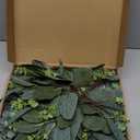 Janinka Mixed Eucalyptus Leaves Stems Bulk with White Seeds Artificial Silver Dollar Leaves Sprays Faux Oval for Wreath Garland Floral Bouquets Arrangement Wedding Greenery Decoration (40)