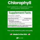Healthfare Chlorophyll Capsules 600mg | Internal Deodorant & Body Odor Support | 150 Veg Pills for Women & Men | Premium Plant-Based Supplement | Vegan, Non-GMO, Gluten-Free | Made in USA