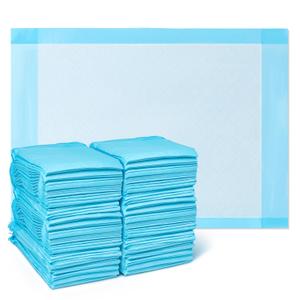 Medline Light Absorbency Under pad, 17" x 24", 100 Count, Disposable Chucks, Bed, Furniture & Surface Protection, For Kids, Adults, Elderly, Puppy Pad, Changing Pad, Incontinence Pee Pad