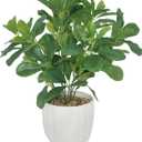 Artificial Potted Plant Leaves, 16.9" Artificial Shrubs Plants Arrangements Fake Eucalyptus Leaves with Vase Faux Greenery Leaves for Home Garden Table Centrepieces Garden Dcor