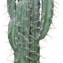 Artificial Cactus 39 Inch Fake Cacti Faux Plant with Black Planter for Home Garden Store Office Floor Decoration