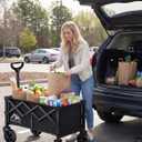 Collapsible Wagon Cart with Wheels - 250LBS Heavy Duty Folding Wagon for Groceries Shopping Outdoor Apartment Portable Foldable Utility Grocery Trolley, Black, L