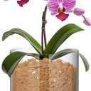 Clear Plant Nursery Pots Acrylic Orchid Pots with Drainage Holes and Tray Transparent Planter for Indoor Plants, Succulents, Herb, Flowers and Cactus Decorative(8 Inches,Circle)