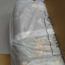 Levtex Home - Lyon Teal Quilt Set - Full/Queen Quilt + Two Standard Pillow Shams - Bird Toile - Teal, Brown, Cream - Quilt Size (88x92in.), Sham Size (26x20in.) - Reversible - Cotton Fabric
