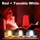 Upgraded Red Night Light for Sleep, 670nm Red Light Lamp with White Light 3000K-6500K, Timer & Stepless Dimming, Remote/Touch Control, 360 Bedroom Lighting, Portable & Hangable