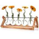 Tigvio Retro Wood Stand Plant Terrarium with 5 Air Planter Bulb Glass Vases, Perfect for Home, Office, or Wedding Decor. Great Desktop Propagation Station and Plant Lover Gift for Women (5 Bulb Vase)