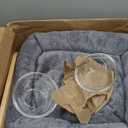 Wondering Whiskers Cat Wall Shelves – Cat Wall Climber with Cat Scratch Post, Removable Bed, Climbing Steps, and Feeding Terrace with Glass Bowls, Waterproof Rubberwood Pet Furniture