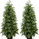 3FT Artificial Cedar Topiary Trees,2 Pack UV Resistant Faux Pine Tree Real Touch Cedar Tree Faux Plants Potted, Evergreen Tree for Outdoor Indoor Door Garden Farmhouse Home Decoration, 
Product Dimensions	24.6"D x 24.6"W x 47.6"H