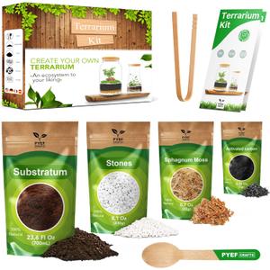 DIY Terrarium Kit for Plants  Build a SelfSustaining Closed Ecosystem  Supplies for Up to68 oz(12Liter)  Succulents, AirPlants(Tillandsia), Fern  Jar Not Included