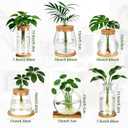 6 Pcs Plants Propagation Stations Glass Planter Terrariums with Wooden Lid and Bamboo Stand Desktop Propagation Vases Jars for Plant Growing Hydroponic Home Office Tabletop Garden Decoration