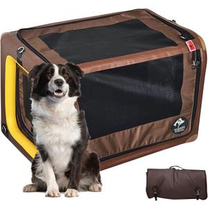 Car Dog Box