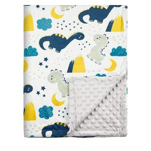 Baby Blankets for Boys, Dinosaur Super Soft Nursery Minky Blanket for Newborn Baby, Double Layer with Dotted Backing, Essentials Receiving Bed Throw Blanket Stroller Crib Shower Gifts, 30 x 40 Inch