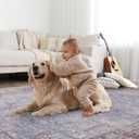 3x5 Area Rugs for Living Room - Washable, Non-Slip Medium Accent Rug for Bedroom, Kitchen, Entryway - Durable Carpet for High-Traffic Areas & Home Decor, Rustic Vibes/Rust