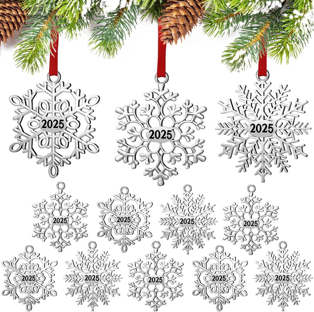 Hotop 12 Pcs Christmas Ornament 2025 Metal Snowflake Ornament for Christmas Tree Snowflakes Christmas Hanging Decorations for Winter Christmas Tree Xmas Party Favors Supplies (Silver)
