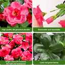 Waipfaru Outdoor Faux Plants Flowers for Outdoor Planters, 4 Large Bundles UV Resistant Artificial Flowers for Outdoors, Realistic Fake Silk Camellia Flowers for Outside Front Door Porch Patio Balcony