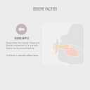 Bibs Pacifiers 0-6 Months | Boheme Collection 2-Pack | BPA-Free Round Nipple | Made in Denmark | Dusty Pink/Coral Color Pacifier