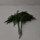 Yinder Norfolk Pine Branches with Pine Cones Artificial Xmas Branches for Indoor Outdoor Home Decor (6 Pcs)