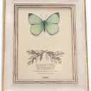 6x8 Inches Vintage Feel Rustic Picture Frame for Tabletop or Wall Hanging with Glass Front (6x8, White)