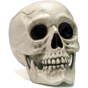 JOYIN Skeleton Halloween Decorations, Life Size Human Skull Model Indoor Outdoor Decorations for Trick-or-Treaters, Realistic Plastic Human Head Bone Tabletop Home Decor (6 x 5.5 x 7.5 Inches)