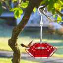 Outdoor Hummingbird Feeder 30 Feeding Ports - Ant & Bee Proof Design with Built-in Ant Moat & Bee Guards, Leak-Proof Durable Hanging Bird Feeder for Garden, Patio, Deck (Easy to Clean) (RED)