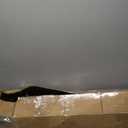 Canopy Poles 35"