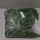 DearHouse 26inch Italian Ruscus Greenery Stems,Artificial Green Leaf Garland Vines Hanging Spray for DIY Wedding Arch Bouquet Filler Table Centerpieces Home Decor (16, Matte Green)