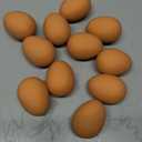 10pcs Cartoon Dog Toys for Small Dogs Interactive Bouncy Eggs for Gentle Chewing Indoor Play and Pet Training Fun Engaging Pet Toys for Puppies