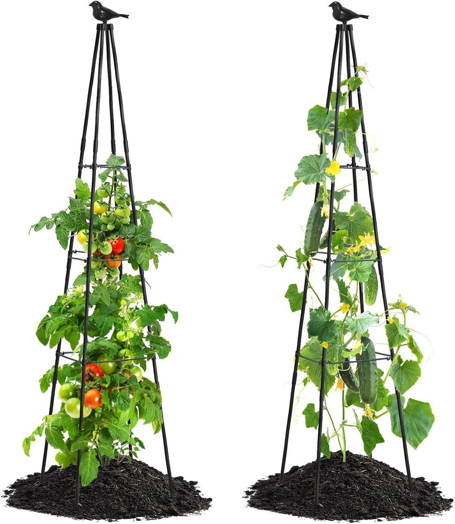 FOLLOOK Cucumber Trellis, 67" Tall Obelisk Garden Trellis for Climbing Plants Outdoor Plastic-Coated Metal Support for Flower Vine Vegetable Tomato Cage Cucumebr Trellis Raised Bed, Black, 2 Pack