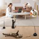 Suction Cup Cat Toys for Indoor Cats,3 in 1 Interactive cat Toys for Indoor Cats,Self Play or Handheld,Feathers & Bells,Realistic Toy Mouse and Silvervine SticksBlack