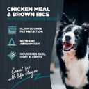 Blackwood Complete & Balanced Diet Dry Dog Food, Chicken Meal & Brown Rice with Ancient Grains, 24 Pound Bag, Slow Cooked with Vitamins & Minerals BDD: 10-16-26