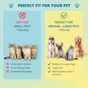 2 x Double-Sided Pet Dog Cat Brush for Detangling Deshedding & Removing Small Mats plus Rubber Dog Bath Brush for Grooming, Shedding, Massage & Skin Care Brush - Best Pet Detangler Brushes