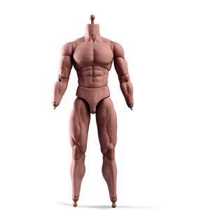 1:6 Scale Male Action Figure 12 Inch Flexible Muscle Male Figure Body Doll Miniature Figure Without Head Sculpt