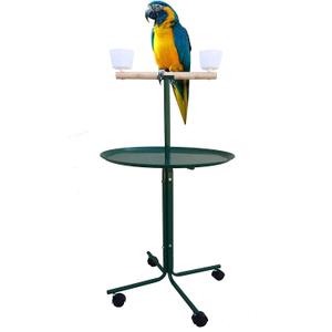 Large 23" Play T-Stand Perch Metal Base Parrot Bird Cage Amazon African Grey Macaw Cockatoo (23", Green)